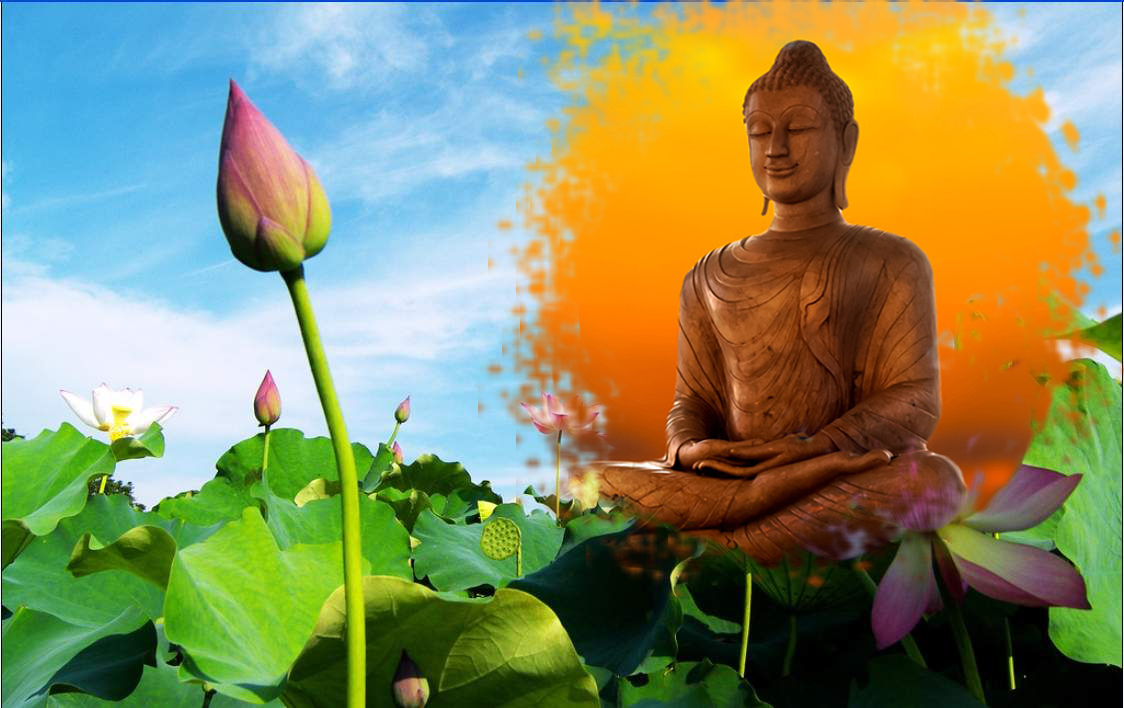 Ảnh hoa sen Phật giáo đơn giản