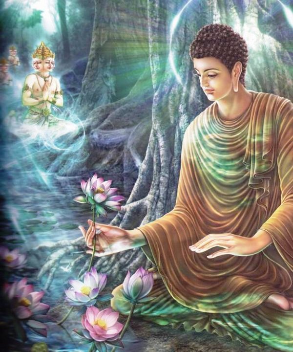 Hình ảnh hoa sen Phật giáo đẹp nhất
