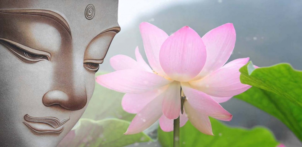 Hình ảnh hoa sen Phật giáo đẹp