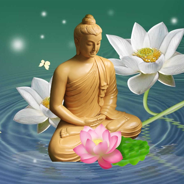 Hình ảnh Phật và hoa sen đẹp